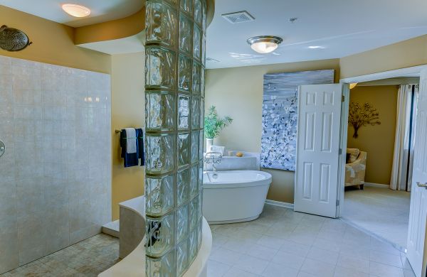 Basement Bathroom Renovation in Orland Park