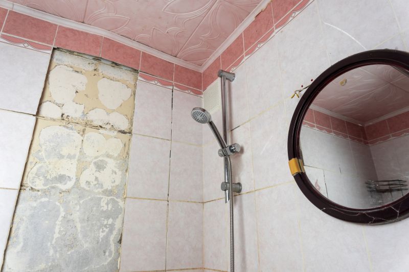Top Shower Remodeling Companies in Crete, IL