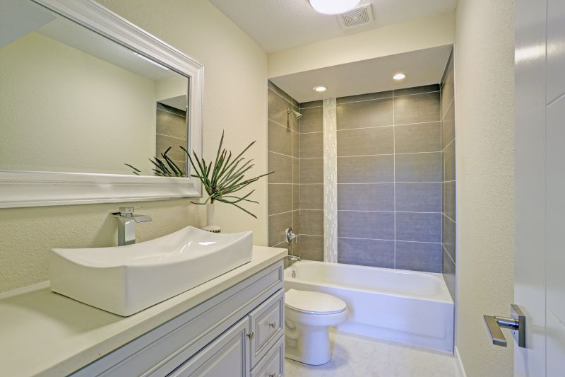 Top Tub To Shower Conversion Companies in Romeoville, IL